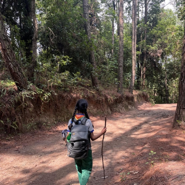 Hiking